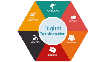Digital Transformation | doodleblue in SME | Digital Marketing | doodleblue blog